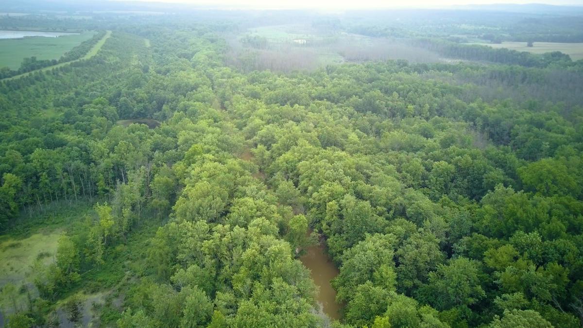 HUNTING PROPERTY IN WARRICK COUNTY, IN Peabody Land